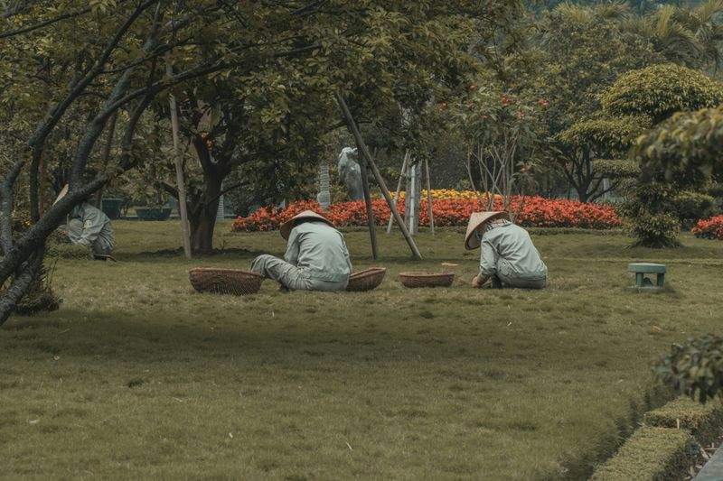 芝生の管理・張り替え